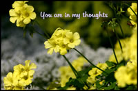 You are in my thoughts